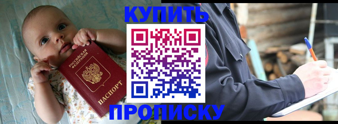 прописка поиск в Бийске
